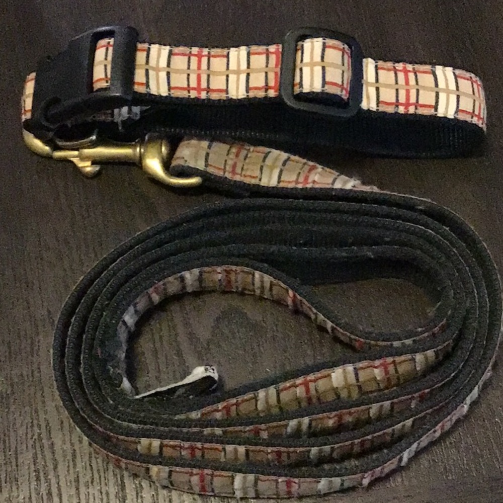 Well Loved Matching 6’ Leash and Adjustable Dog Collar